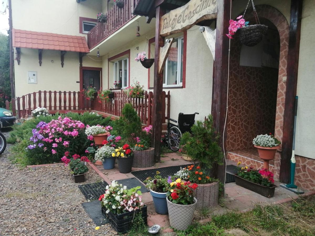 Jasionka Apartment Устшики Долне Екстериор снимка